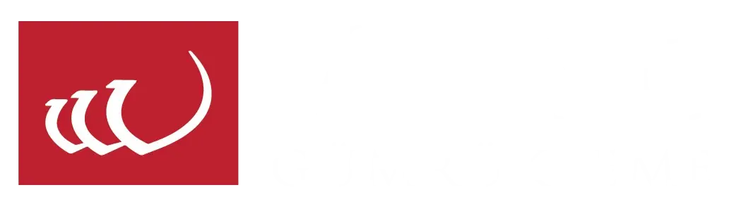 Viking firma logosu